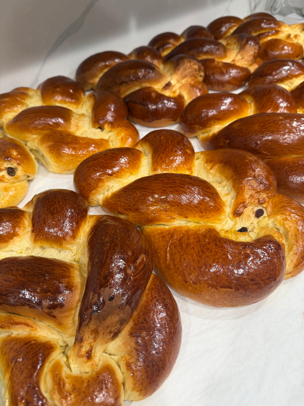 Several braided bread loaves with glossy golden-brown crusts arranged on a white surface.