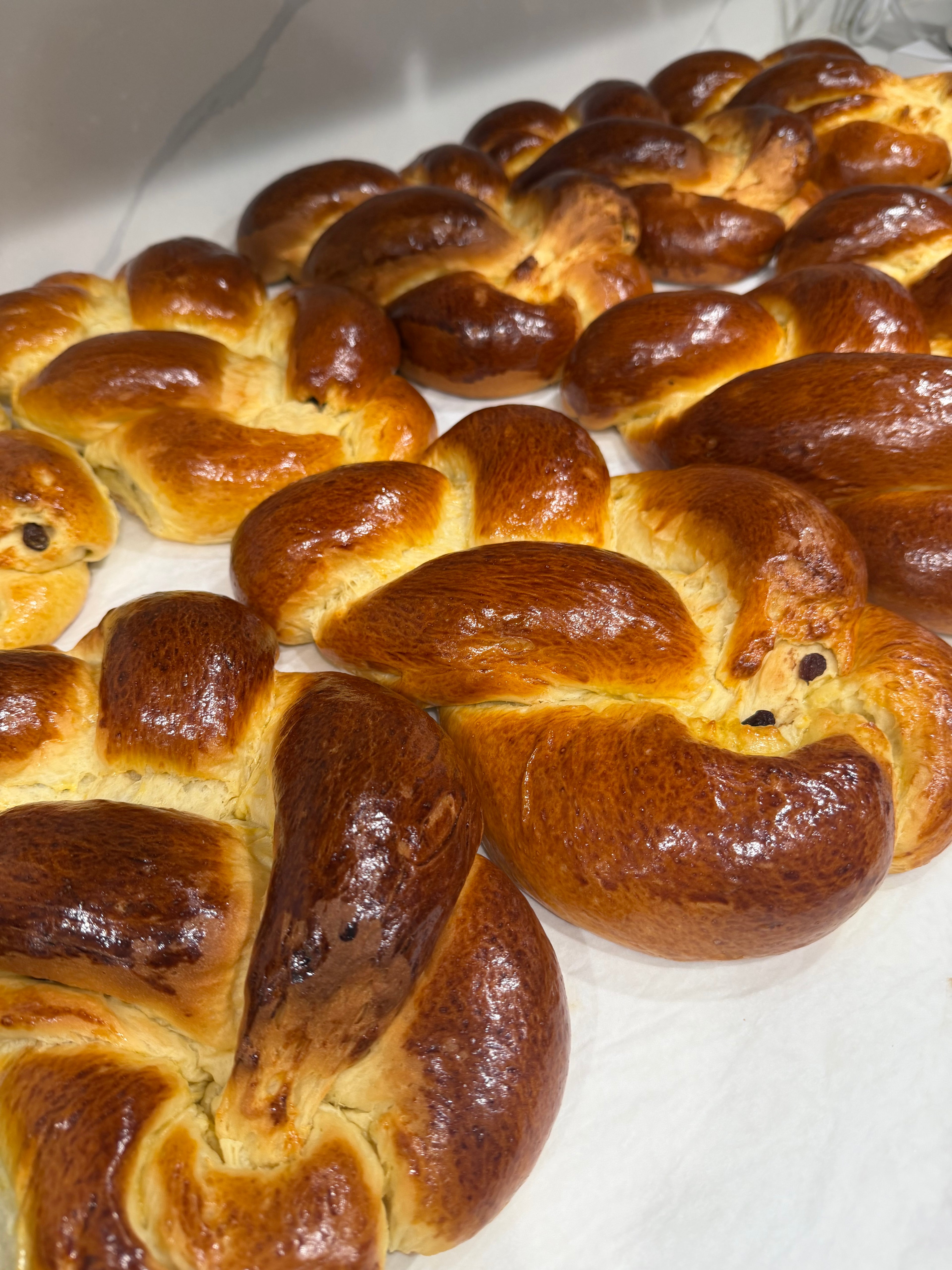 Several braided bread loaves with glossy golden-brown crusts arranged on a white surface.