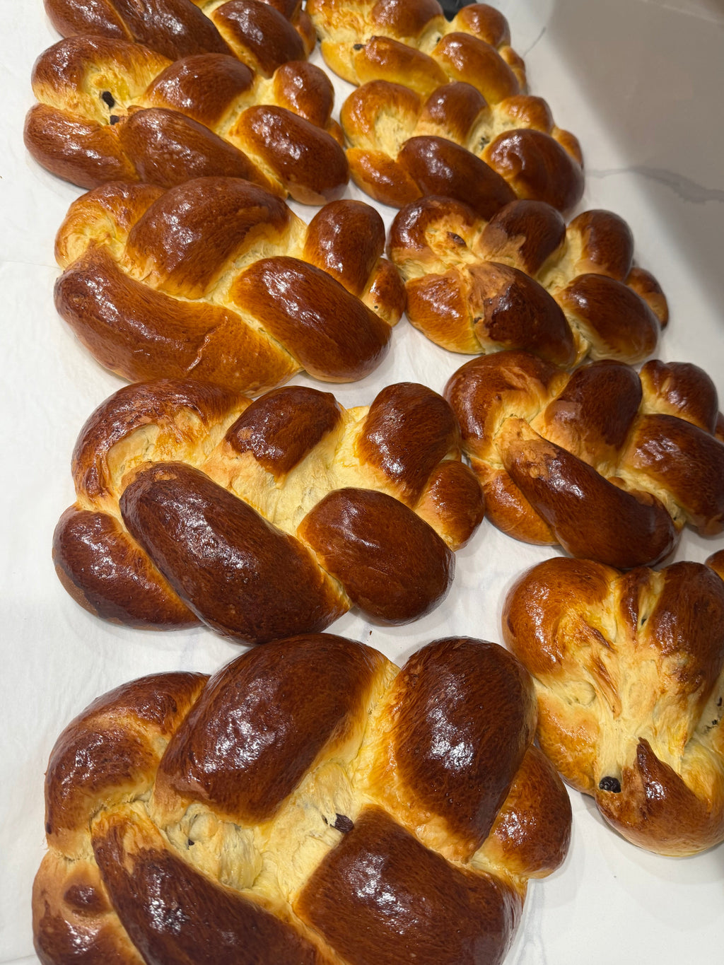 Morning Royale (CHALLAH)